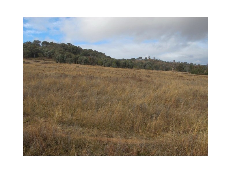 Mudgee NSW 2850