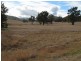 Mudgee NSW 2850