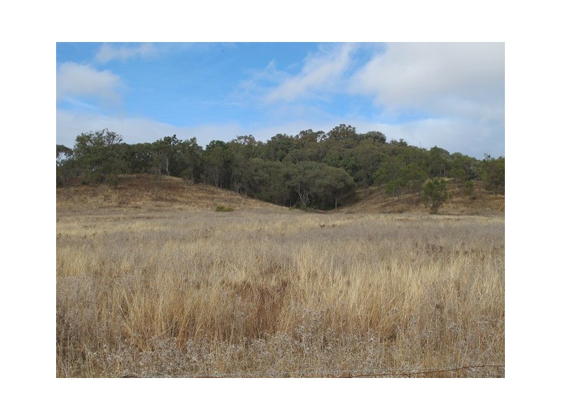 Mudgee NSW 2850