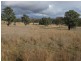 Mudgee NSW 2850