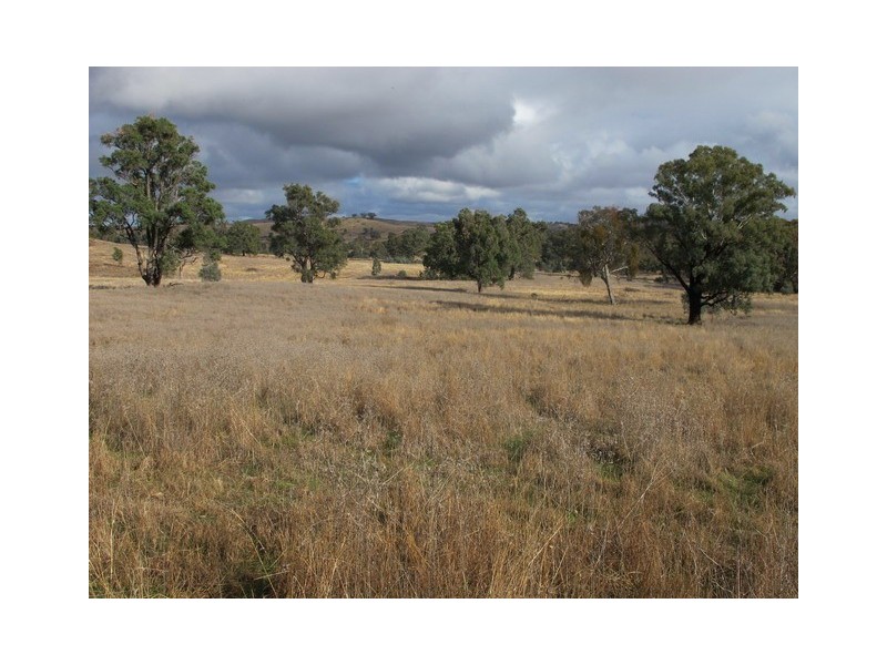 Mudgee NSW 2850