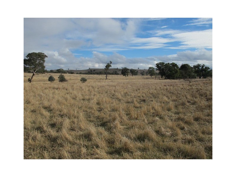 Mudgee NSW 2850