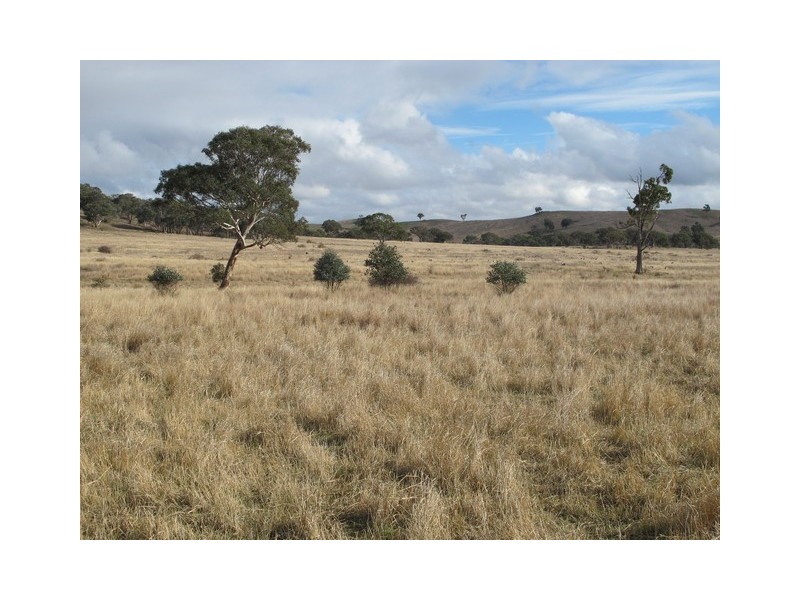 Mudgee NSW 2850