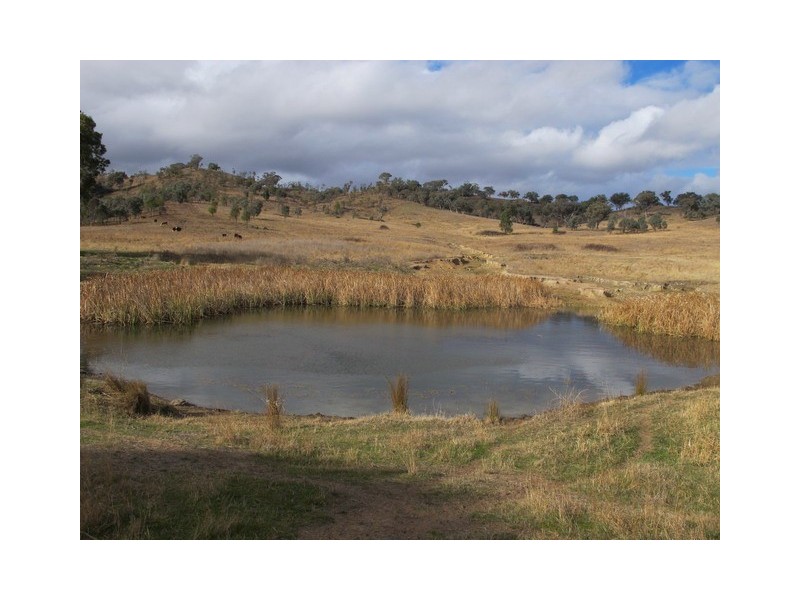 Mudgee NSW 2850