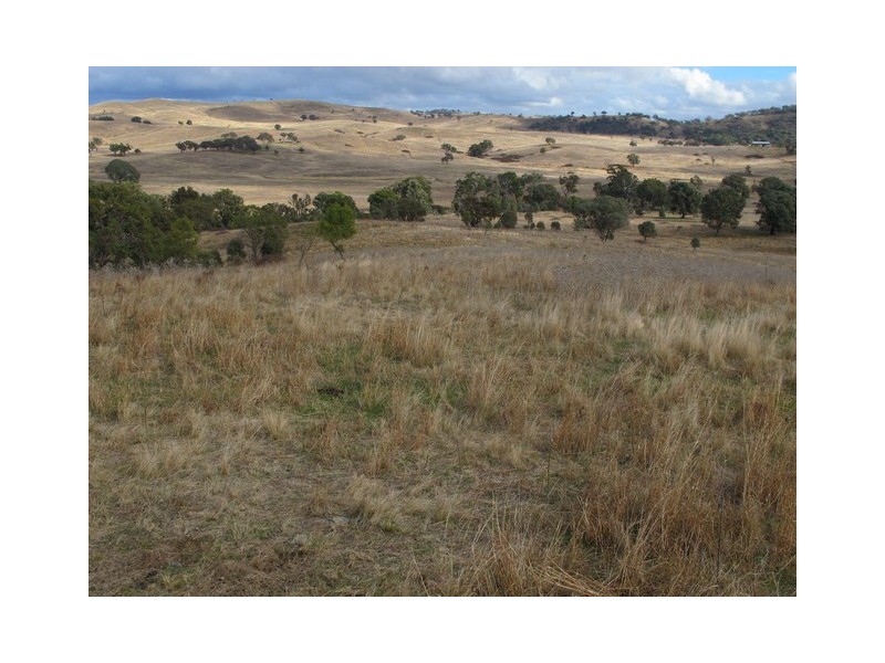 Mudgee NSW 2850