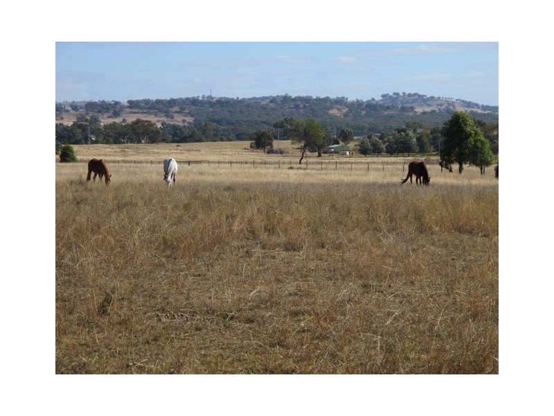 Mudgee NSW 2850