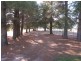 Mudgee NSW 2850