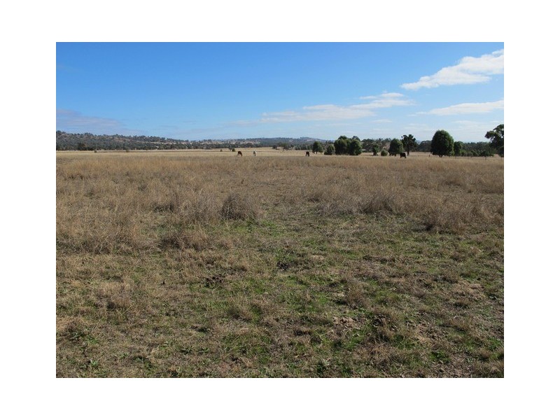 Mudgee NSW 2850