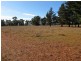 Mudgee NSW 2850