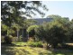 229 Church Street, Mudgee NSW 2850