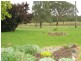 136 Pyramul Road, Windeyer NSW 2850
