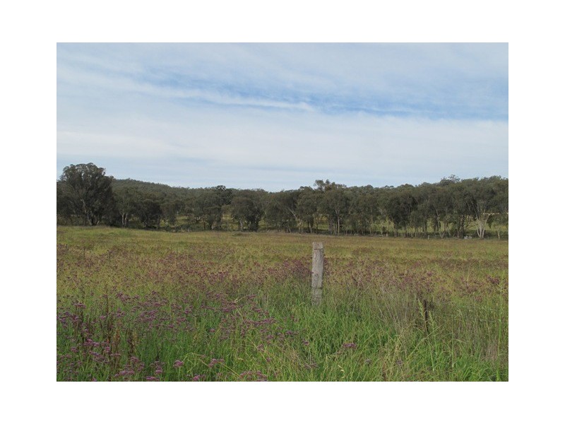 136 Pyramul Road, Windeyer NSW 2850