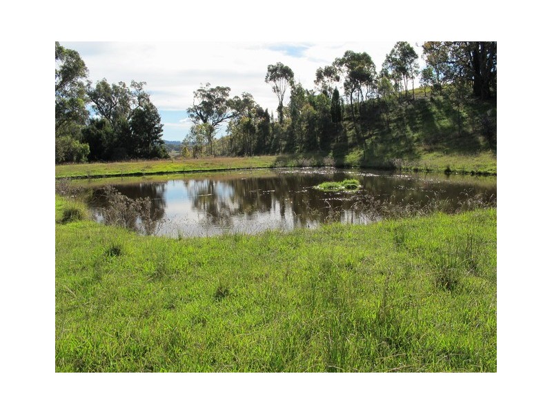 53 Pindari Road, Mudgee NSW 2850