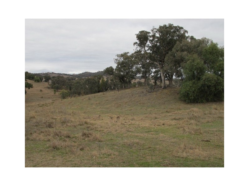 53 Pindari Road, Mudgee NSW 2850