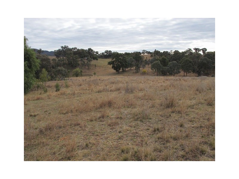 53 Pindari Road, Mudgee NSW 2850