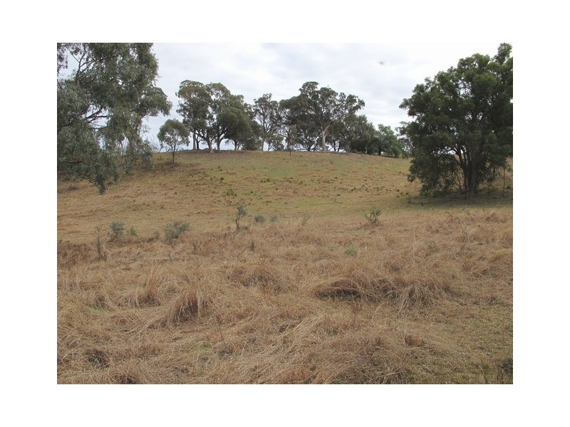 53 Pindari Road, Mudgee NSW 2850