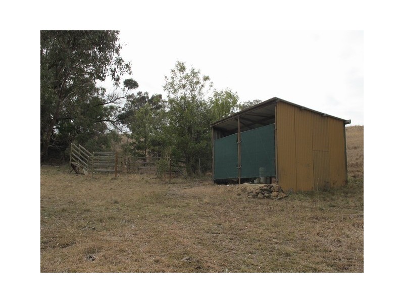 53 Pindari Road, Mudgee NSW 2850