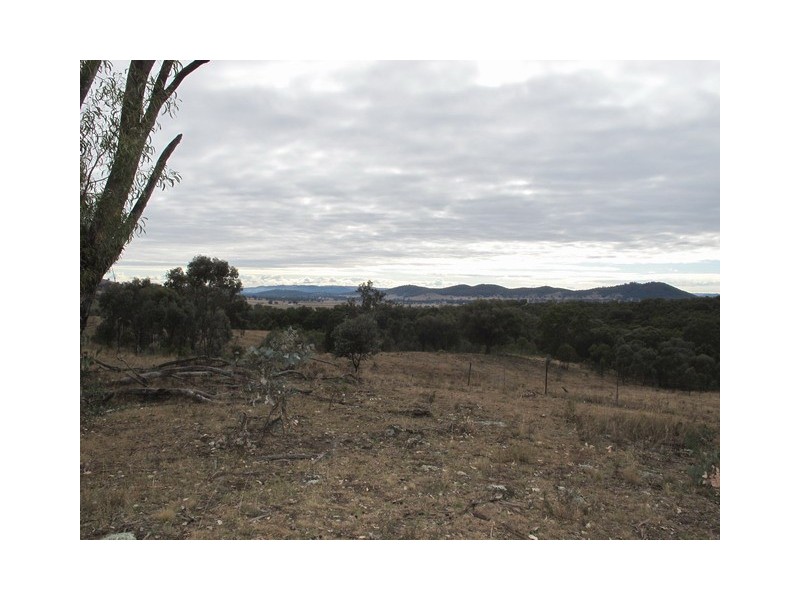 53 Pindari Road, Mudgee NSW 2850