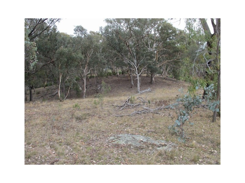 53 Pindari Road, Mudgee NSW 2850