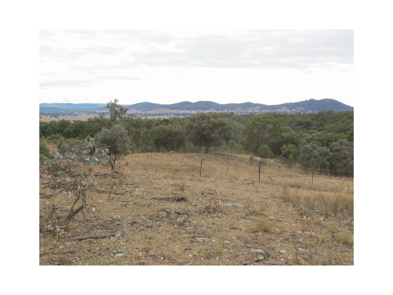 53 Pindari Road, Mudgee NSW 2850