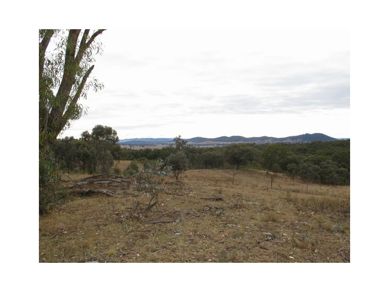 53 Pindari Road, Mudgee NSW 2850