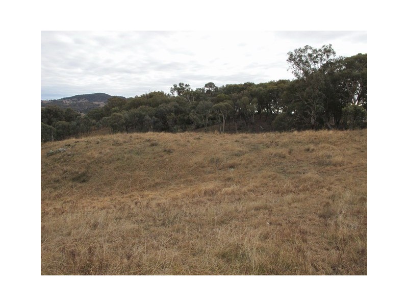 53 Pindari Road, Mudgee NSW 2850