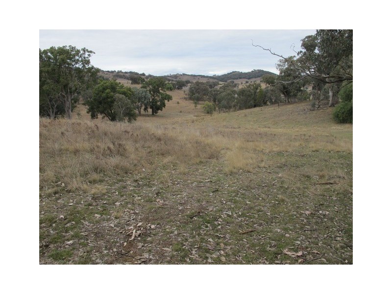 53 Pindari Road, Mudgee NSW 2850