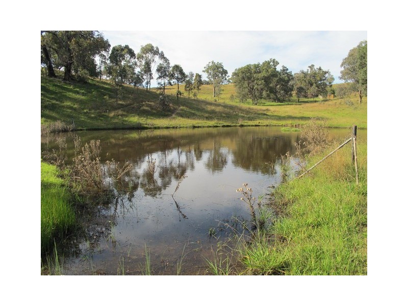 53 Pindari Road, Mudgee NSW 2850