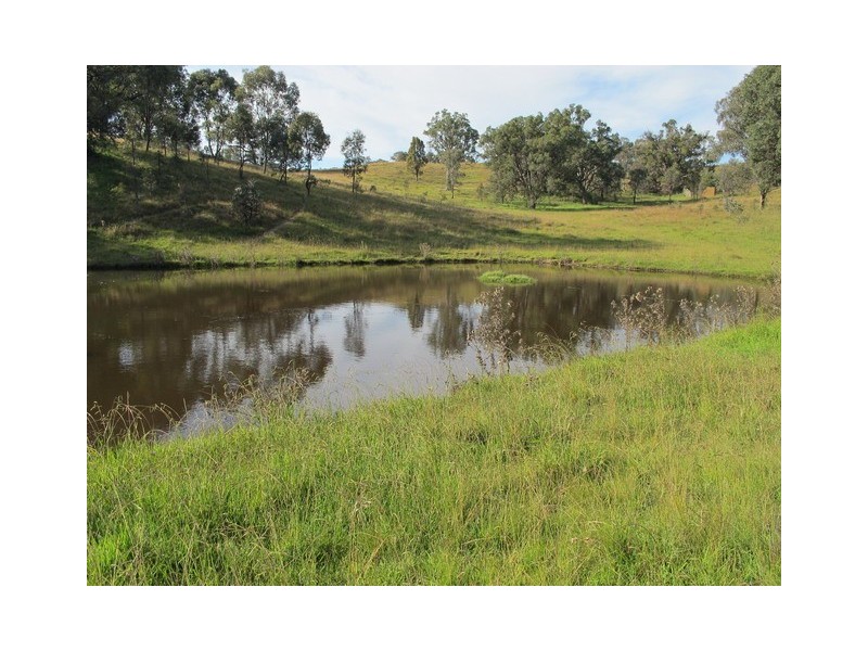 53 Pindari Road, Mudgee NSW 2850