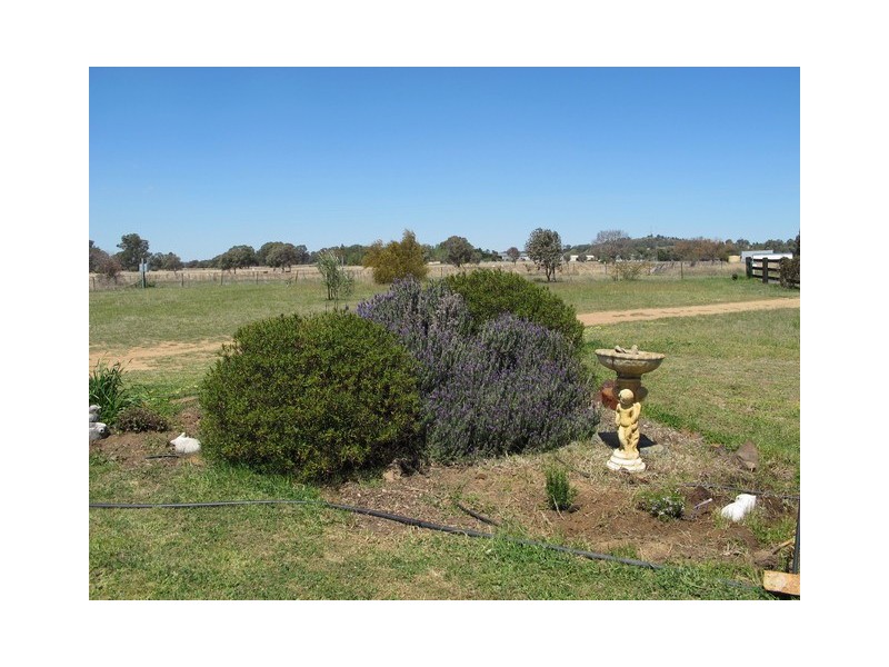 26 Black Lead Lane, Gulgong NSW 2852