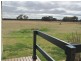 26 Black Lead Lane, Gulgong NSW 2852