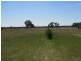 26 Black Lead Lane, Gulgong NSW 2852