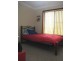 26 Black Lead Lane, Gulgong NSW 2852