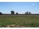 26 Black Lead Lane, Gulgong NSW 2852