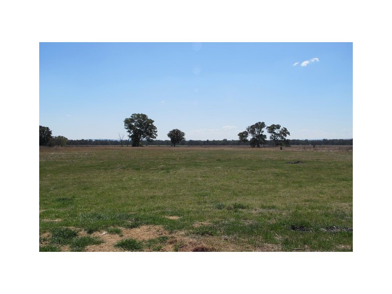 26 Black Lead Lane, Gulgong NSW 2852