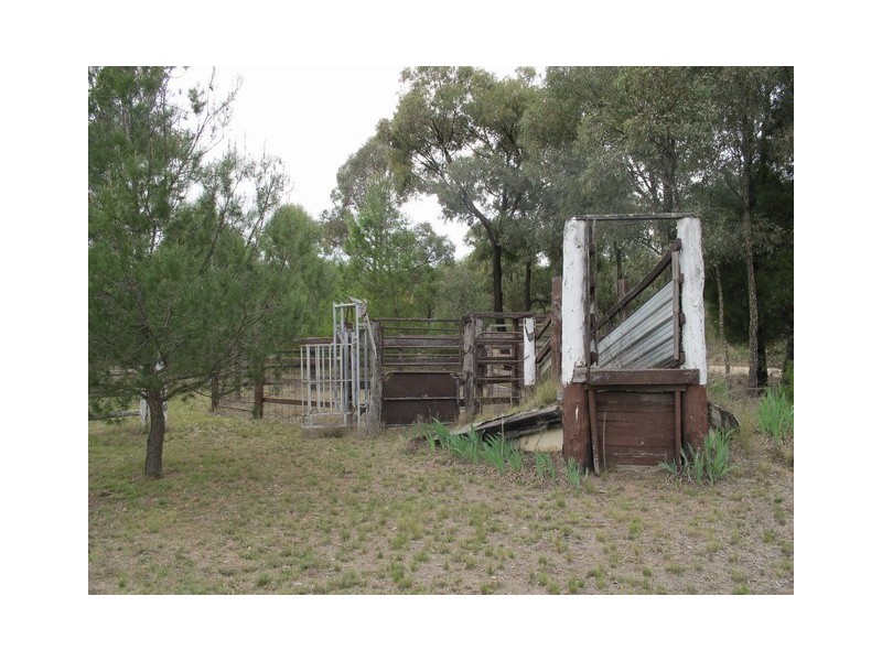 556 Cypress Drive, Mudgee NSW 2850