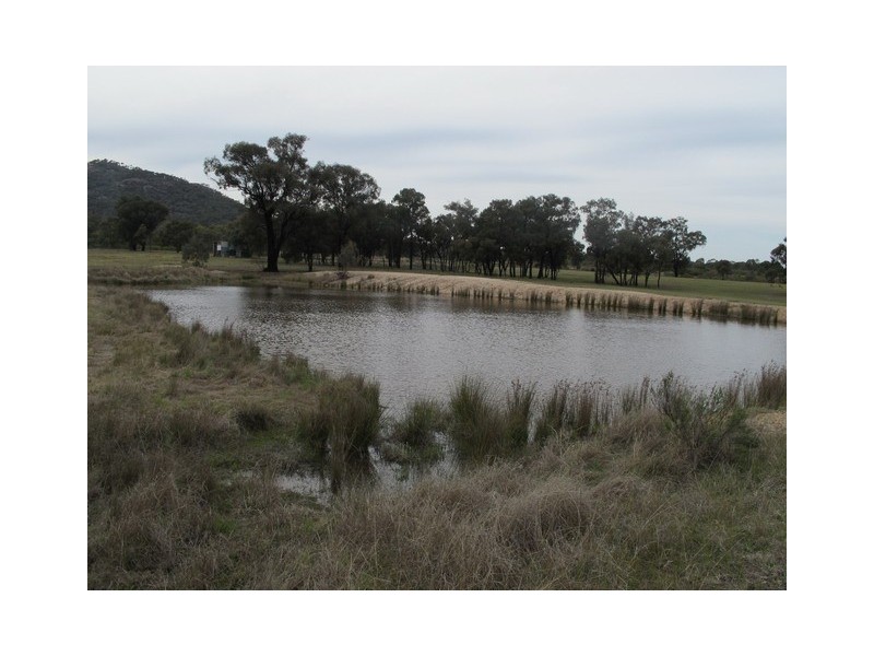 556 Cypress Drive, Mudgee NSW 2850