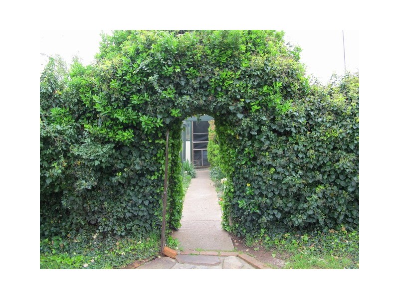 “Wongalee” 75 Gollan Road, Mudgee NSW 2850