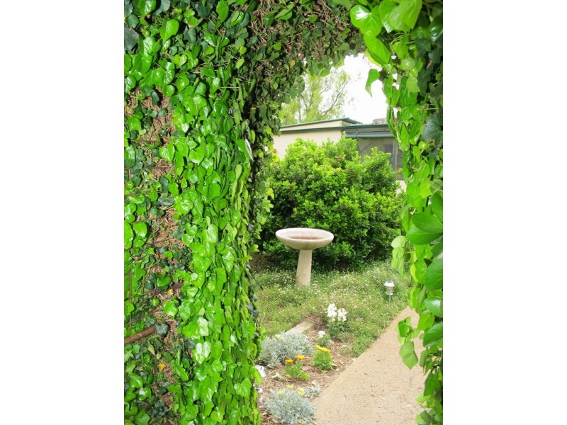 “Wongalee” 75 Gollan Road, Mudgee NSW 2850