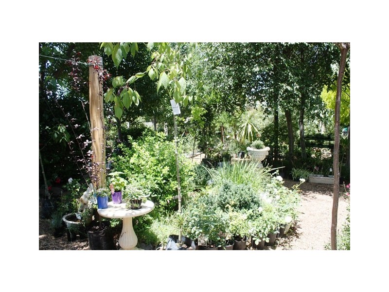 Josie’s Coffee Shop and Nursery Binnia Street, Mudgee NSW 2850