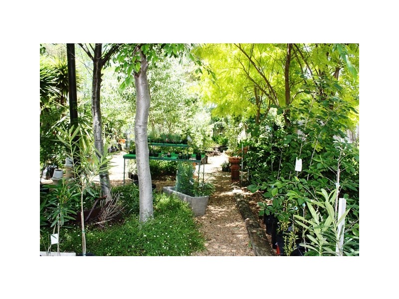 Josie’s Coffee Shop and Nursery Binnia Street, Mudgee NSW 2850