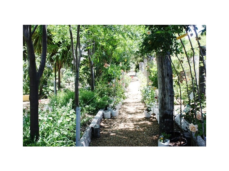 Josie’s Coffee Shop and Nursery Binnia Street, Mudgee NSW 2850