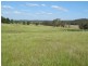 Gulgong NSW 2852