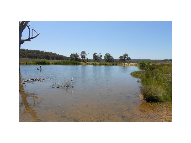Mudgee NSW 2850
