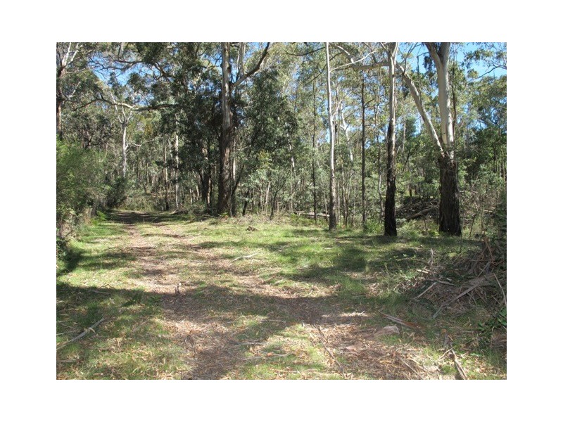 1132 Bocoble Road, Mudgee NSW 2850