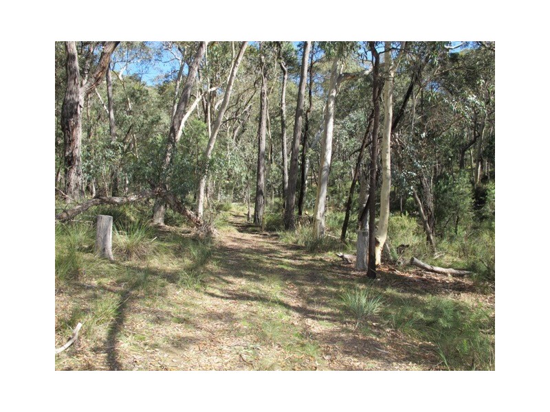 1132 Bocoble Road, Mudgee NSW 2850