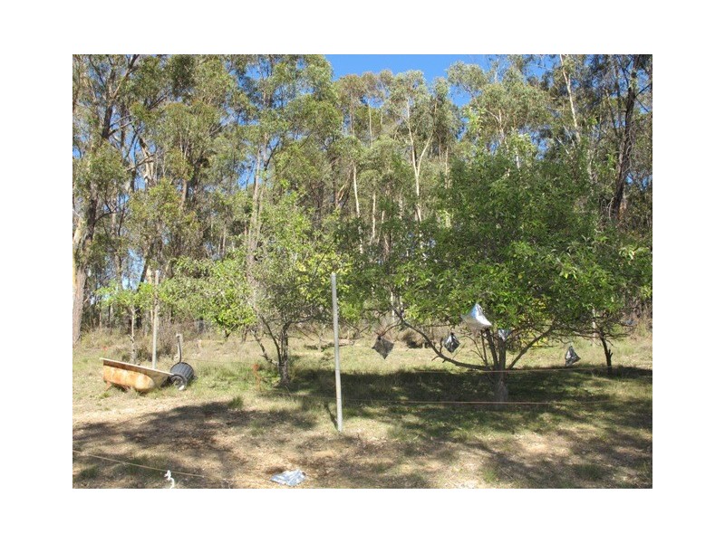 1132 Bocoble Road, Mudgee NSW 2850