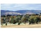 62 White Circle, Mudgee NSW 2850
