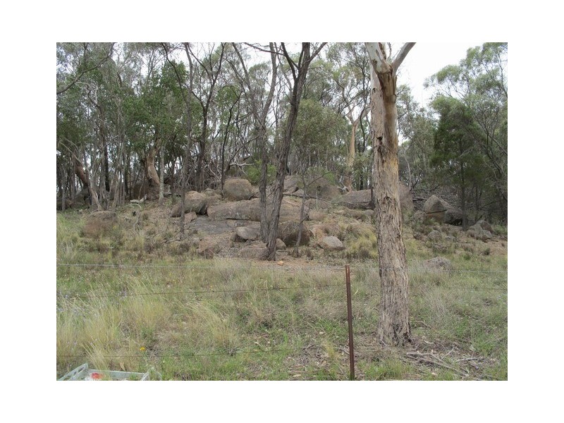 170 Ridge Road, Mudgee NSW 2850
