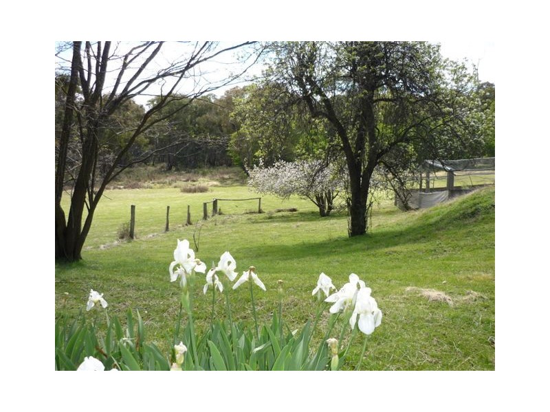 3864 Hill End Road, Mudgee NSW 2850
